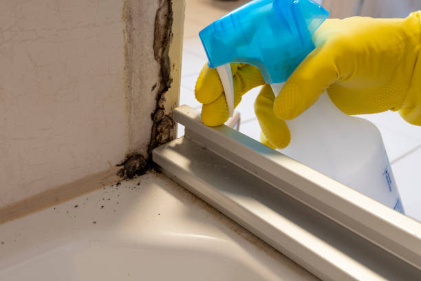 Best Emergency Mold Removal  in Red Bank, NJ