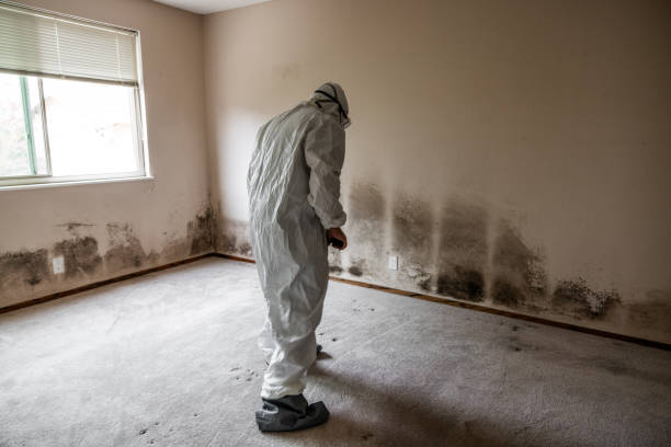 Water Damage Restoration in Red Bank, NJ