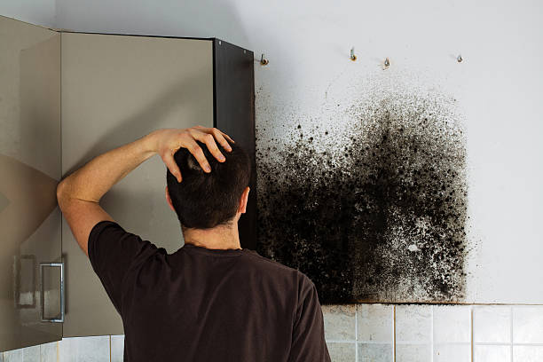 Red Bank, NJ Mold Removal Company